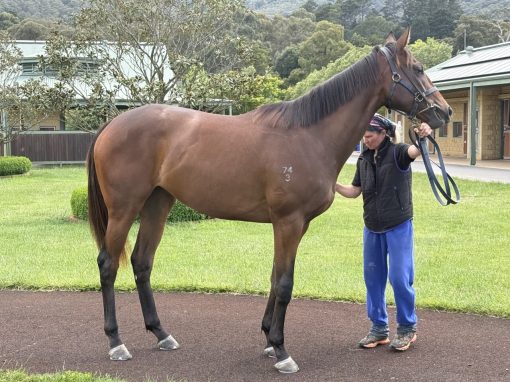 Un-named (Zoustar - Sheila's Star)