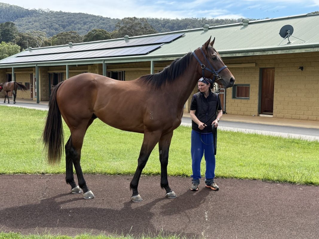 Un-named (The Mission – Hanaan)