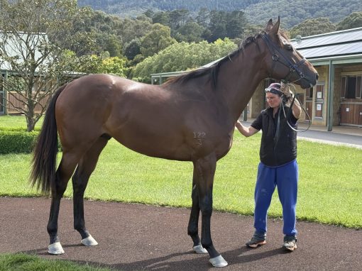 Un-named (Zoustar - Construe)